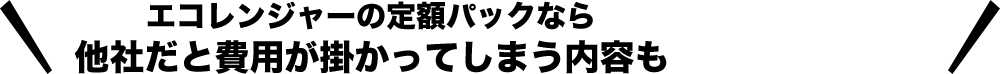 エコレンジャーの定額パックなら他社だと費用が掛かってしまう内容も